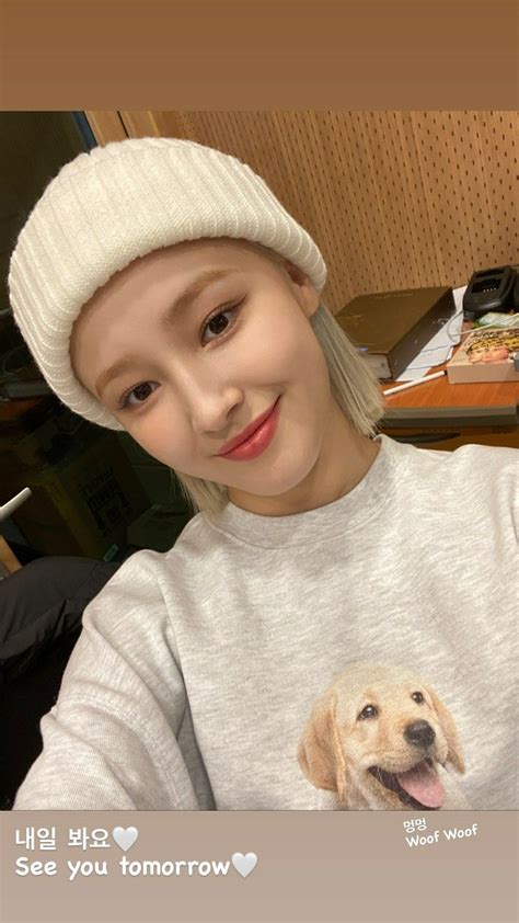 nancy momoland zodiac sign|Nancy .